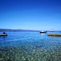 Omis