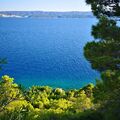 Omis