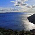 Omis