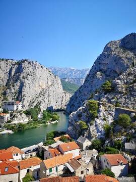 Omis