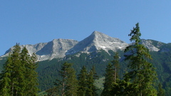 Steinberg