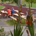 25 Jahre Sportpark im Steinbrunnen