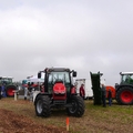 Großer Waldtag in Wittesheim - 12.10.2014