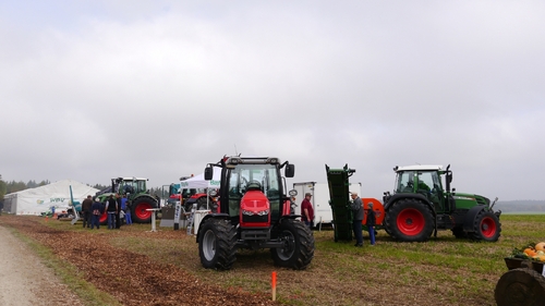 Großer Waldtag in Wittesheim - 12.10.2014