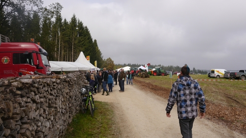Großer Waldtag in Wittesheim - 12.10.2014