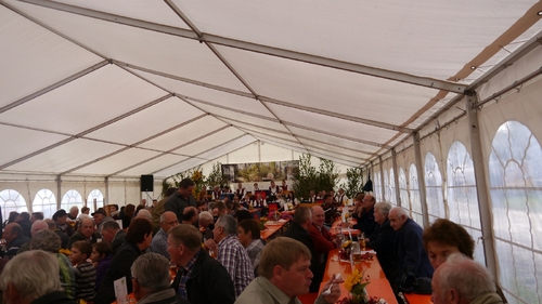 Großer Waldtag in Wittesheim - 12.10.2014