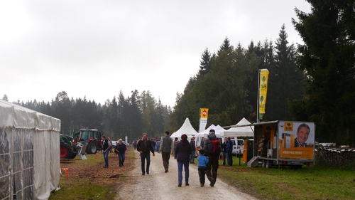 Großer Waldtag in Wittesheim - 12.10.2014