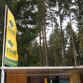 Großer Waldtag in Wittesheim - 12.10.2014