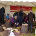 Großer Waldtag in Wittesheim - 12.10.2014