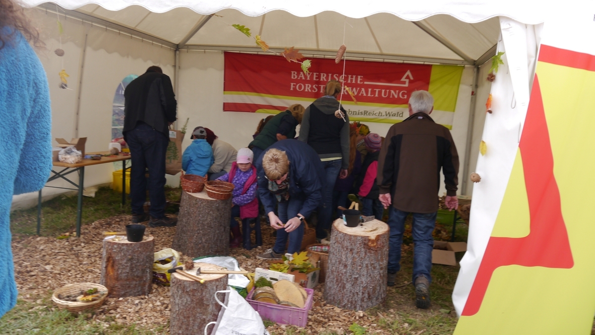Großer Waldtag in Wittesheim - 12.10.2014