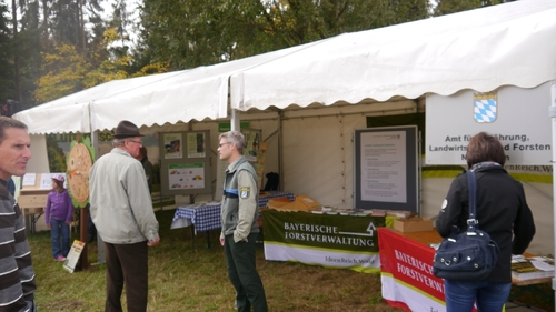 Großer Waldtag in Wittesheim - 12.10.2014