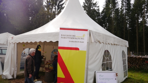 Großer Waldtag in Wittesheim - 12.10.2014