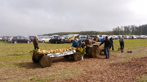 Großer Waldtag in Wittesheim - 12.10.2014