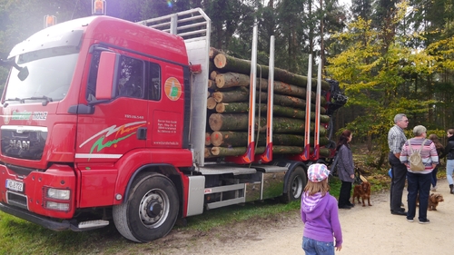 Großer Waldtag in Wittesheim - 12.10.2014