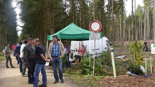 Großer Waldtag in Wittesheim - 12.10.2014