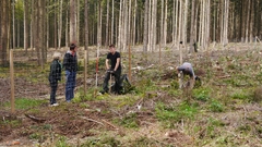 Großer Waldtag in Wittesheim - 12.10.2014