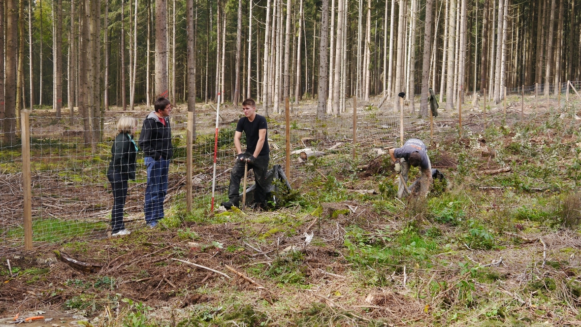 Großer Waldtag in Wittesheim - 12.10.2014