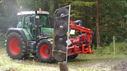 Großer Waldtag in Wittesheim - 12.10.2014
