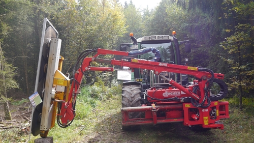 Großer Waldtag in Wittesheim - 12.10.2014