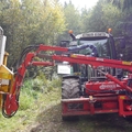 Großer Waldtag in Wittesheim - 12.10.2014