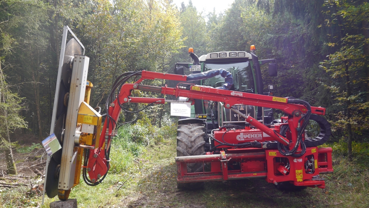 Großer Waldtag in Wittesheim - 12.10.2014