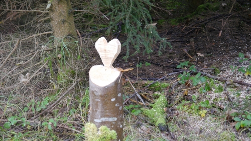 Großer Waldtag in Wittesheim - 12.10.2014