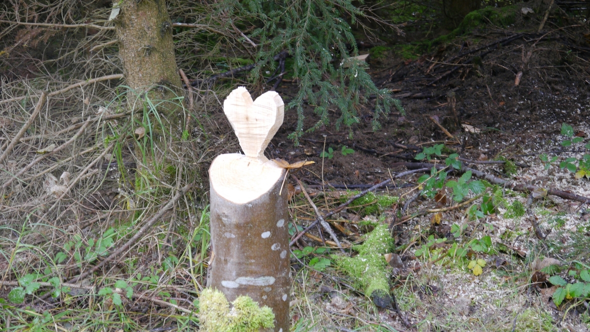 Großer Waldtag in Wittesheim - 12.10.2014