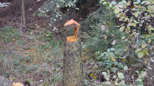 Großer Waldtag in Wittesheim - 12.10.2014