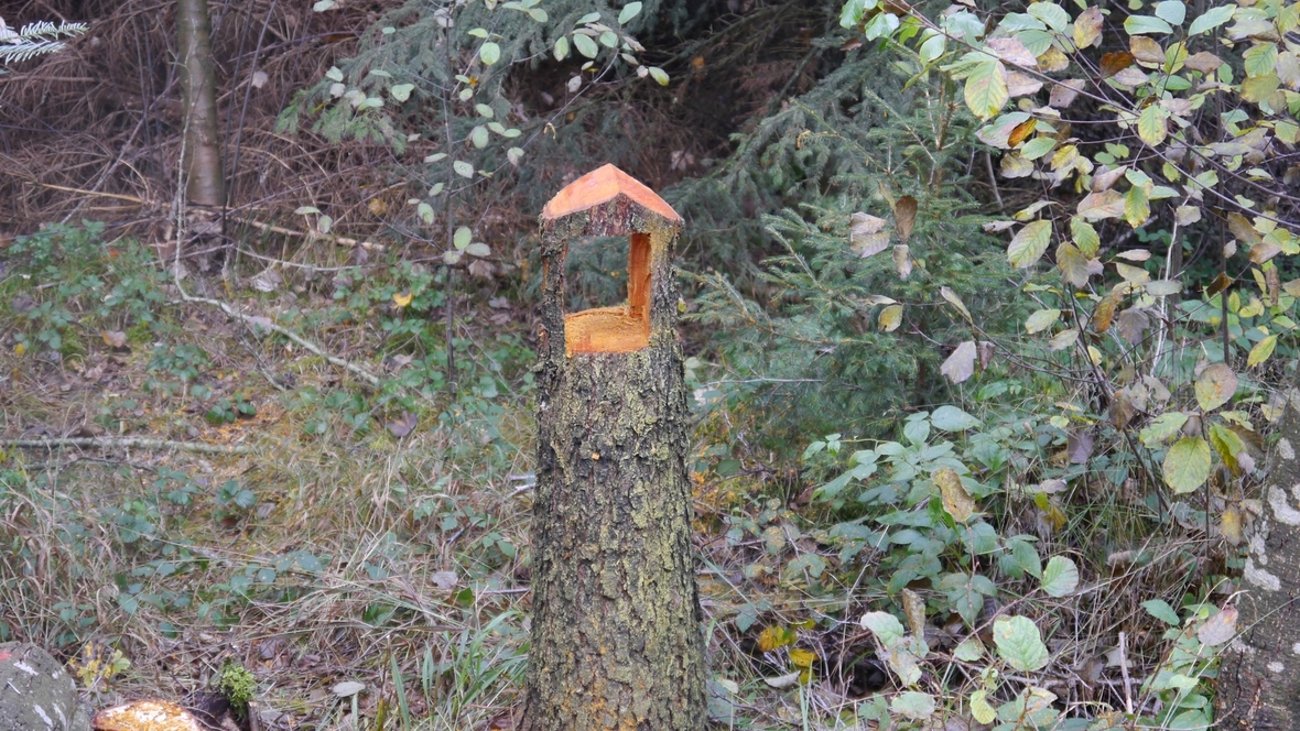 Großer Waldtag in Wittesheim - 12.10.2014
