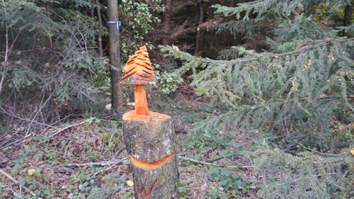 Großer Waldtag in Wittesheim - 12.10.2014