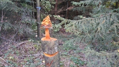 Großer Waldtag in Wittesheim - 12.10.2014