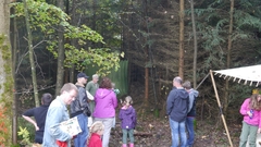 Großer Waldtag in Wittesheim - 12.10.2014