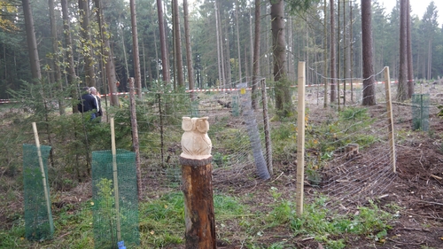 Großer Waldtag in Wittesheim - 12.10.2014
