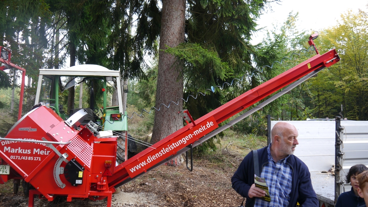 Großer Waldtag in Wittesheim - 12.10.2014