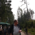 Großer Waldtag in Wittesheim - 12.10.2014