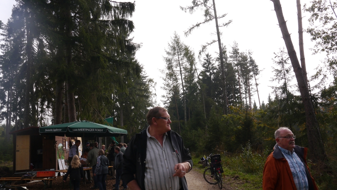 Großer Waldtag in Wittesheim - 12.10.2014