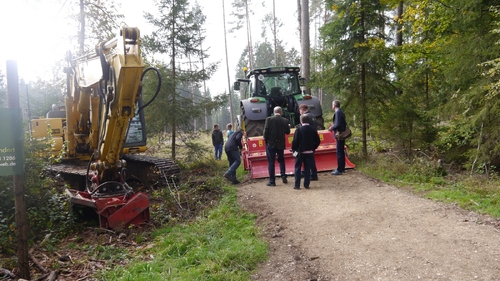 Großer Waldtag in Wittesheim - 12.10.2014