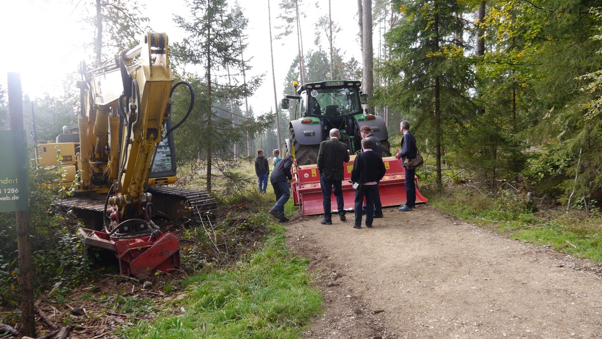 Großer Waldtag in Wittesheim - 12.10.2014