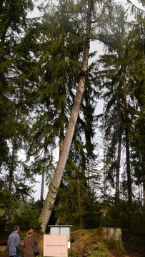 Großer Waldtag in Wittesheim - 12.10.2014