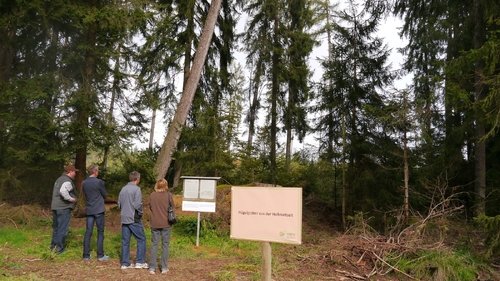 Großer Waldtag in Wittesheim - 12.10.2014