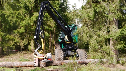 Großer Waldtag in Wittesheim - 12.10.2014