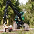 Großer Waldtag in Wittesheim - 12.10.2014