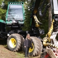 Großer Waldtag in Wittesheim - 12.10.2014
