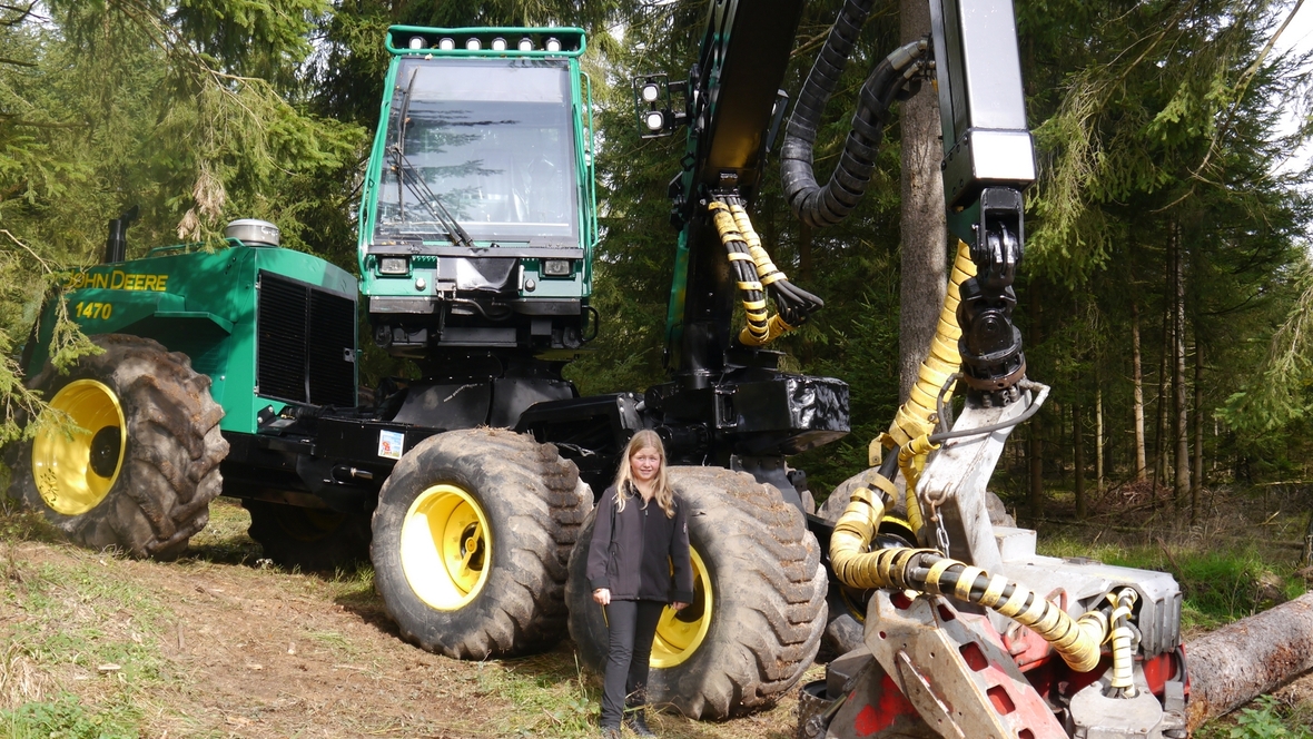 Großer Waldtag in Wittesheim - 12.10.2014