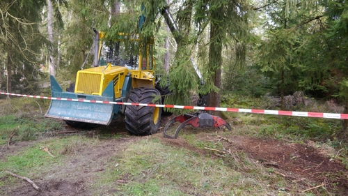 Großer Waldtag in Wittesheim - 12.10.2014