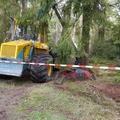 Großer Waldtag in Wittesheim - 12.10.2014