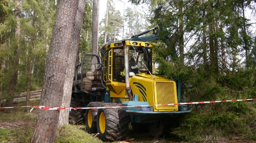Großer Waldtag in Wittesheim - 12.10.2014
