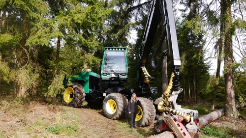 Großer Waldtag in Wittesheim - 12.10.2014