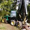 Großer Waldtag in Wittesheim - 12.10.2014