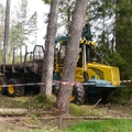 Großer Waldtag in Wittesheim - 12.10.2014